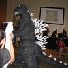 17 GODZILLA COSTUME